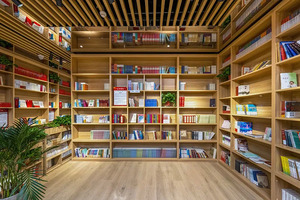 香港中文大学（深圳） 2017 年上海市综合评价录取招生简章_尚书志愿，高考志愿填报服务平台，新高考选科填报指南，高考查分，大学专业排名，生涯规划