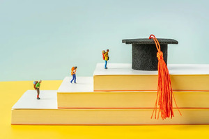 山东省2025年普通高等学校分专业招生计划补充信息_尚书志愿，高考志愿填报服务平台，新高考选科填报指南，高考查分，大学专业排名，生涯规划