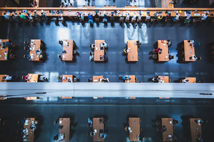 广东：关于公布2024年普通高考美术与设计类、书法类和表（导）演类（服装表演方向）专业省统考成绩的通知_尚书志愿，高考志愿填报服务平台，新高考选科填报指南，高考查分，大学专业排名，生涯规划