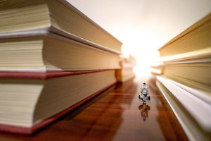 山东：关于做好2025年度军队招收飞行学员工作的通知_尚书志愿，高考志愿填报服务平台，新高考选科填报指南，高考查分，大学专业排名，生涯规划