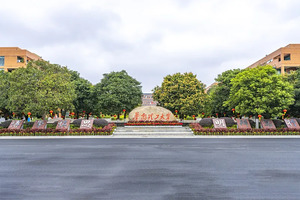 本科专业的选择标准有哪些？_尚书志愿，高考志愿填报服务平台，新高考选科填报指南，高考查分，大学专业排名，生涯规划