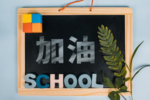 华东师范大学2016年综合评价录取招生简章_尚书志愿，高考志愿填报服务平台，新高考选科填报指南，高考查分，大学专业排名，生涯规划