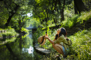 湖北：关于高考志愿填报成功的说明_尚书志愿，高考志愿填报服务平台，新高考选科填报指南，高考查分，大学专业排名，生涯规划