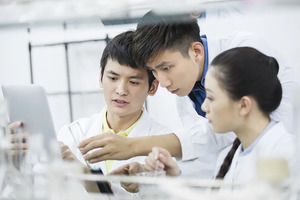 2025年普通高校招生志愿填报温馨提示_尚书志愿，高考志愿填报服务平台，新高考选科填报指南，高考查分，大学专业排名，生涯规划