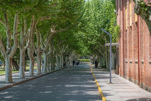 河南：2024年普通高校招生艺术类省统考划定专业合格线_尚书志愿，高考志愿填报服务平台，新高考选科填报指南，高考查分，大学专业排名，生涯规划