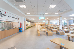 教育部：今年235所高校招收高水平运动员_尚书志愿，高考志愿填报服务平台，新高考选科填报指南，高考查分，大学专业排名，生涯规划