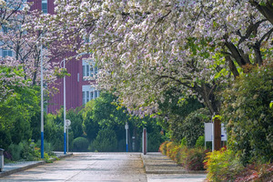 2025年陕西省高考录取日程_尚书志愿，高考志愿填报服务平台，新高考选科填报指南，高考查分，大学专业排名，生涯规划