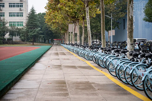 湖北：关于做好2024年普通高等学校艺术类专业招生工作的通知_尚书志愿，高考志愿填报服务平台，新高考选科填报指南，高考查分，大学专业排名，生涯规划