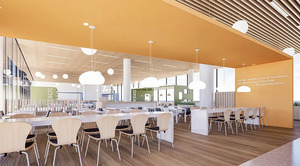 西藏：关于做好2025年度区外西藏高中班（校）招收空军飞行学员工作的通知_尚书志愿，高考志愿填报服务平台，新高考选科填报指南，高考查分，大学专业排名，生涯规划