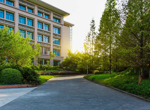 深圳北理莫斯科大学2025年广东省综合评价招生简章_尚书志愿，高考志愿填报服务平台，新高考选科填报指南，高考查分，大学专业排名，生涯规划