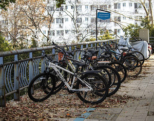 安徽：2025年中西部欠发达地区优秀教师定向培养计划招生公告_尚书志愿，高考志愿填报服务平台，新高考选科填报指南，高考查分，大学专业排名，生涯规划