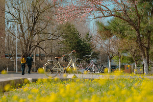 广州大学2025年高水平运动队报名公告_尚书志愿，高考志愿填报服务平台，新高考选科填报指南，高考查分，大学专业排名，生涯规划