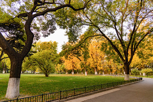 2025年度粤、桂两省（区）空军招飞复选检测通知_尚书志愿，高考志愿填报服务平台，新高考选科填报指南，高考查分，大学专业排名，生涯规划