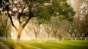 江苏：2024年普通高中学业水平合格性考试顺利开考_尚书志愿，高考志愿填报服务平台，新高考选科填报指南，高考查分，大学专业排名，生涯规划