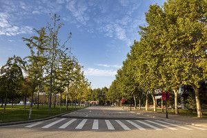 所谓&ldquo;热门&rdquo;专业和&ldquo;冷门&rdquo;专业就一成不变吗?_尚书志愿，高考志愿填报服务平台，新高考选科填报指南，高考查分，大学专业排名，生涯规划