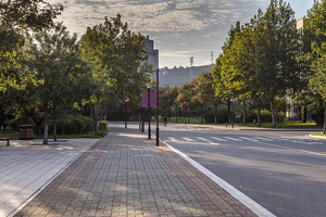 四川：招办主任锦囊（六）&ldquo;院校专业组&rdquo;志愿如何合理排序?_尚书志愿，高考志愿填报服务平台，新高考选科填报指南，高考查分，大学专业排名，生涯规划