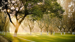 安徽：2025年7月教育招生考试月历_尚书志愿，高考志愿填报服务平台，新高考选科填报指南，高考查分，大学专业排名，生涯规划