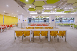 什么是&ldquo;新工科、新农科、新医科、新文科&rdquo;？_尚书志愿，高考志愿填报服务平台，新高考选科填报指南，高考查分，大学专业排名，生涯规划