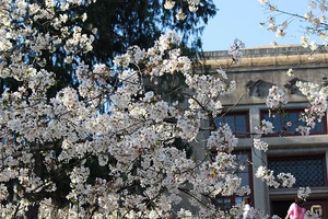 安徽：香港高校东华学院今年起在我省招生_尚书志愿，高考志愿填报服务平台，新高考选科填报指南，高考查分，大学专业排名，生涯规划