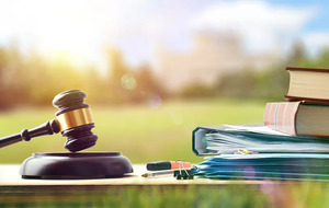 什么是死档？_尚书志愿，高考志愿填报服务平台，新高考选科填报指南，高考查分，大学专业排名，生涯规划