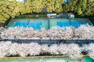 中国地质大学（武汉）2025年高水平运动队招生简章_尚书志愿，高考志愿填报服务平台，新高考选科填报指南，高考查分，大学专业排名，生涯规划