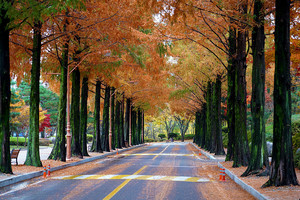 香港中文大学2019年湖南省本科招生说明会_尚书志愿，高考志愿填报服务平台，新高考选科填报指南，高考查分，大学专业排名，生涯规划