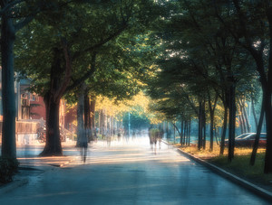 试点地区(省、自治区、直辖市)进行了哪方面探索?_尚书志愿，高考志愿填报服务平台，新高考选科填报指南，高考查分，大学专业排名，生涯规划