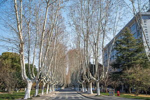 教育部高等教育司关于开展2025年度普通高等学校本科专业设置工作的通知_尚书志愿，高考志愿填报服务平台，新高考选科填报指南，高考查分，大学专业排名，生涯规划