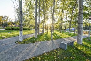 武汉理工大学2015年农村学生单独招生简章_尚书志愿，高考志愿填报服务平台，新高考选科填报指南，高考查分，大学专业排名，生涯规划