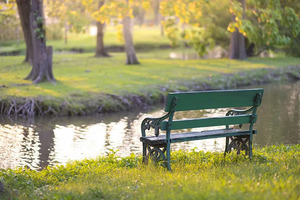 上海：又到一年春考季_尚书志愿，高考志愿填报服务平台，新高考选科填报指南，高考查分，大学专业排名，生涯规划