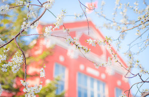 北京：11所高校具备艺考校考资格_尚书志愿，高考志愿填报服务平台，新高考选科填报指南，高考查分，大学专业排名，生涯规划