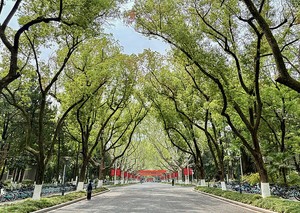 2025年云南省军队院校招生体检结论_尚书志愿，高考志愿填报服务平台，新高考选科填报指南，高考查分，大学专业排名，生涯规划