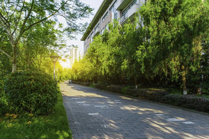 上海交通大学2025年强基计划招生简章_尚书志愿，高考志愿填报服务平台，新高考选科填报指南，高考查分，大学专业排名，生涯规划