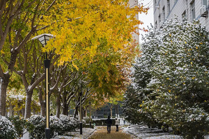 内蒙古：2024年1月全区普通高中学业水平考试成绩今日公布_尚书志愿，高考志愿填报服务平台，新高考选科填报指南，高考查分，大学专业排名，生涯规划