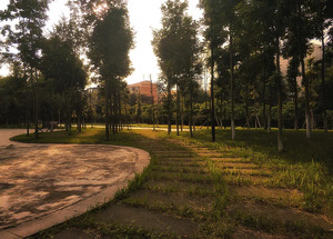 华东师范大学2025年强基计划招生简章_尚书志愿，高考志愿填报服务平台，新高考选科填报指南，高考查分，大学专业排名，生涯规划