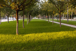 江西：关于做好我省2020年海军招收飞行学员工作的通知_尚书志愿，高考志愿填报服务平台，新高考选科填报指南，高考查分，大学专业排名，生涯规划