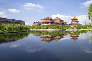 @新疆考生 2025年高考志愿填报指导（一）_尚书志愿，高考志愿填报服务平台，新高考选科填报指南，高考查分，大学专业排名，生涯规划