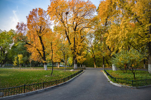 南方科技大学2018年浙江省&ldquo;三位一体&rdquo;综合评价招生实施办法_尚书志愿，高考志愿填报服务平台，新高考选科填报指南，高考查分，大学专业排名，生涯规划