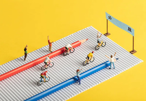 关于做好2025年普通高等学校在山东省招收高水平运动队相关工作的通知_尚书志愿，高考志愿填报服务平台，新高考选科填报指南，高考查分，大学专业排名，生涯规划