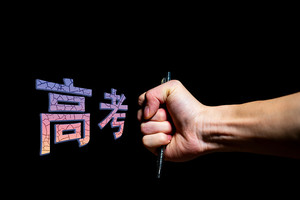 山东省教育厅关于做好2025年面向农村和脱贫地区学生招生专项计划工作的通知_尚书志愿，高考志愿填报服务平台，新高考选科填报指南，高考查分，大学专业排名，生涯规划