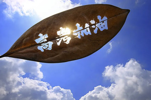 北京：今日，成绩可查_尚书志愿，高考志愿填报服务平台，新高考选科填报指南，高考查分，大学专业排名，生涯规划