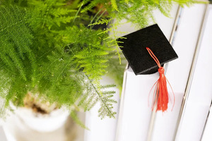 北京市2026年普通高等学校艺术类专业统一考试说明_尚书志愿，高考志愿填报服务平台，新高考选科填报指南，高考查分，大学专业排名，生涯规划