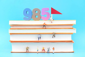 四川省2024年普通高等学校招生美术与设计类、书法类、表（导）演类、播音与主持类、舞蹈类专业统考合格线上五分段统计表出炉_尚书志愿，高考志愿填报服务平台，新高考选科填报指南，高考查分，大学专业排名，生涯规划