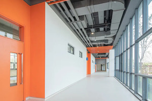 12高校招收贫困生的专项计划都招谁？_尚书志愿，高考志愿填报服务平台，新高考选科填报指南，高考查分，大学专业排名，生涯规划