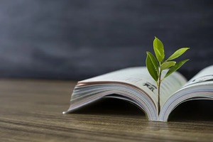 辽宁：2025年度空军招飞高考前定选工作安排_尚书志愿，高考志愿填报服务平台，新高考选科填报指南，高考查分，大学专业排名，生涯规划