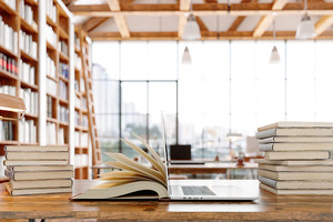 关于投档比例_尚书志愿，高考志愿填报服务平台，新高考选科填报指南，高考查分，大学专业排名，生涯规划