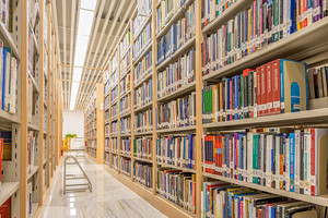 云南：2024年普通高校招生艺术类省级统考专业录取最低控制分数线及专业成绩查询须知_尚书志愿，高考志愿填报服务平台，新高考选科填报指南，高考查分，大学专业排名，生涯规划