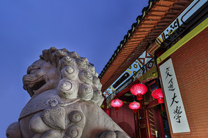 选择中外合作办学的注意事项有哪些？_尚书志愿，高考志愿填报服务平台，新高考选科填报指南，高考查分，大学专业排名，生涯规划