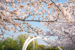 辽宁：2025年继续实施高校招生专项计划_尚书志愿，高考志愿填报服务平台，新高考选科填报指南，高考查分，大学专业排名，生涯规划