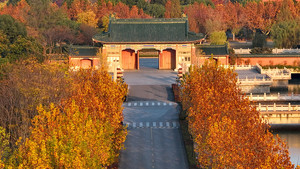 就读中国&ldquo;洋大学&rdquo;的入学条件有哪些？_尚书志愿，高考志愿填报服务平台，新高考选科填报指南，高考查分，大学专业排名，生涯规划